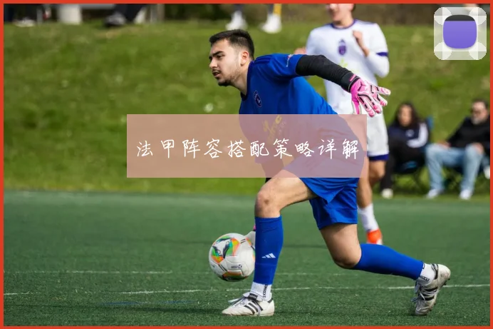 法甲阵容搭配策略详解