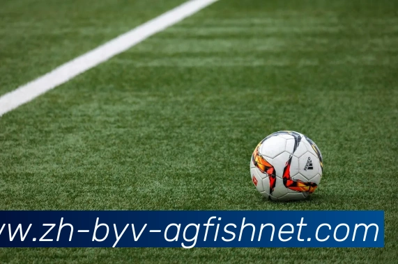 AG捕鱼王官网发展历程