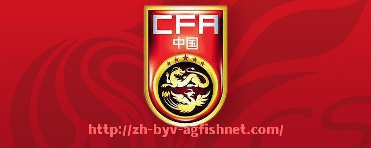 AG捕鱼王官网-德甲联赛中有哪些具有中资背景的球队?