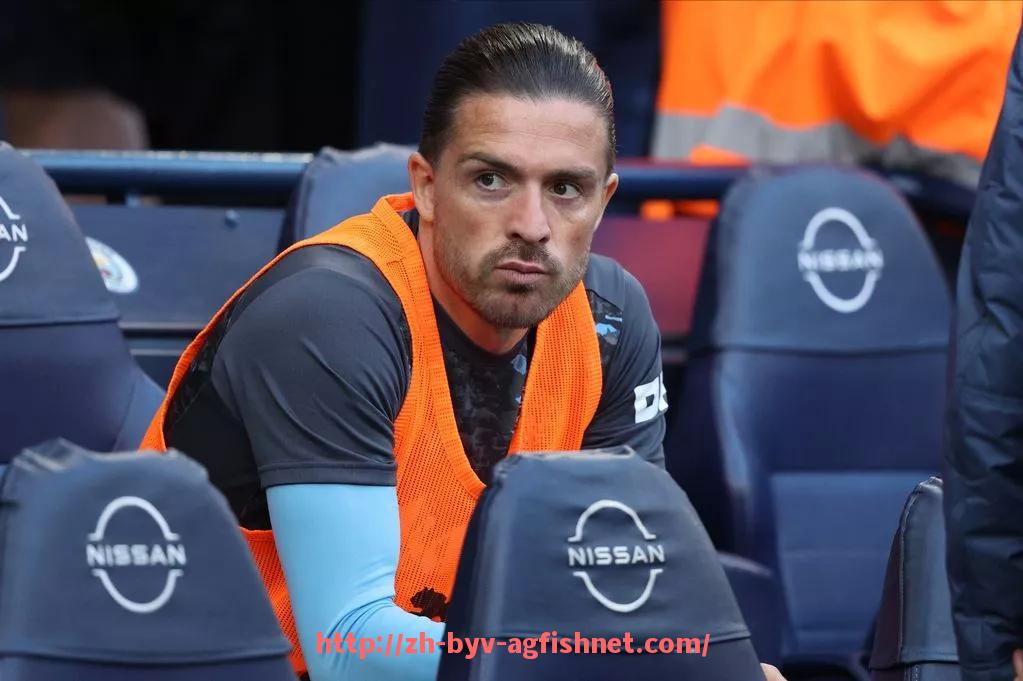 AG捕鱼王官网-英超球员阿里的职业生涯数据与表现